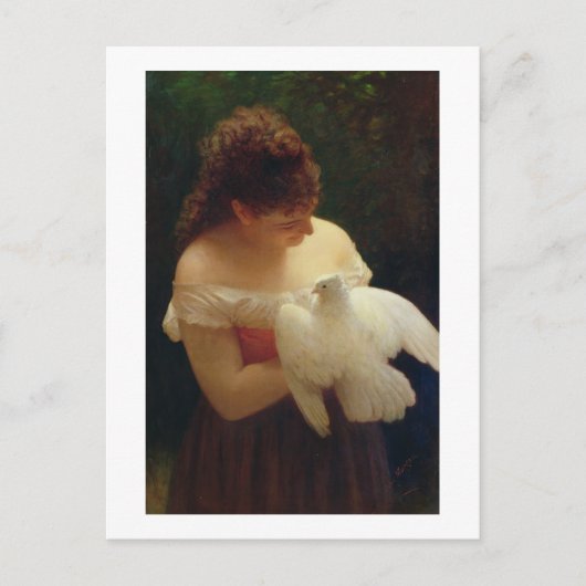 ハト ポストカード (正面)