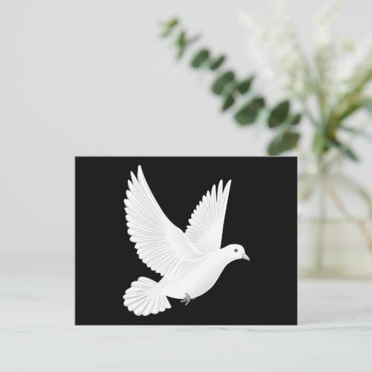 ハト ポストカード (スタンド正面)