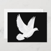 ハト ポストカード (正面/裏面)