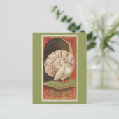 ハト ポストカード (スタンド正面)