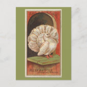 ハト ポストカード (正面)