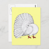 ハト ポストカード (正面/裏面)