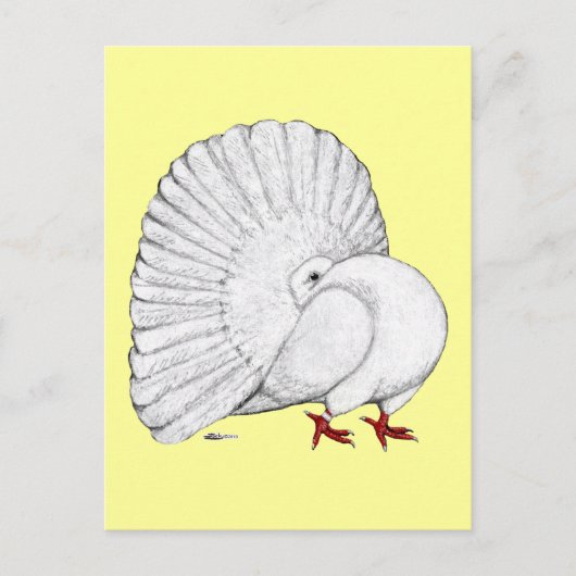 ハト ポストカード (正面)