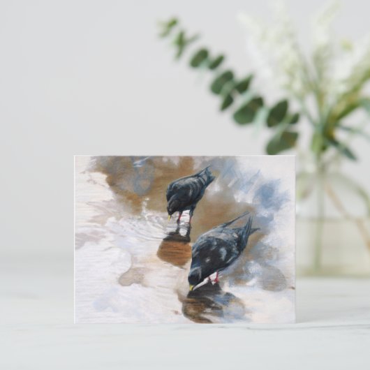 ハト ポストカード (スタンド正面)