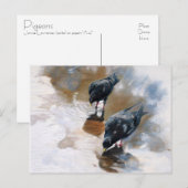 ハト ポストカード (正面/裏面)