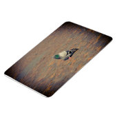 ハト マグネット (左側)