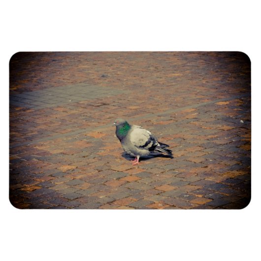 ハト マグネット (横)