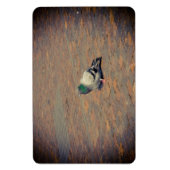 ハト マグネット (縦)