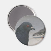 ハト マグネット (正面/裏面)