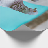 ハト ラッピングペーパー (角)