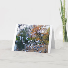 ハト，ロイドパーク，ウォルサムストウ，ロンドン カード