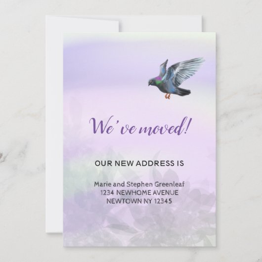 ハト、引っ越した 案内状 (正面)