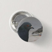 ハト 缶バッジ (正面&裏面)