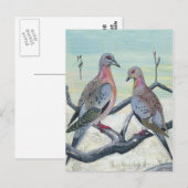 ハト（鳩） ポストカード (正面/裏面)