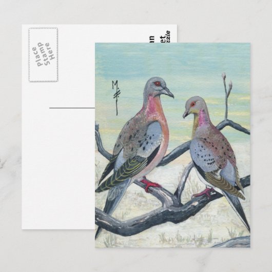 ハト（鳩） ポストカード (正面/裏面)