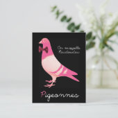 ハト – On M'appelle Roudoudo ポストカード (スタンド正面)