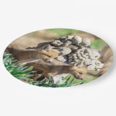 ハドソンバレーのキツネキット ペーパープレート (アングル)