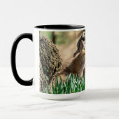 ハドソンバレーのキツネキット マグカップ (左)