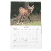 ハドソンバレー野生動物カレンダー カレンダー (3月 2027)