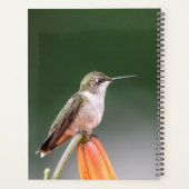 ハドソンバレー2024のハミングバード プランナー手帳 (裏面)