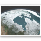 ハドソンベイ海氷2005年11月14日。 シール (正面)