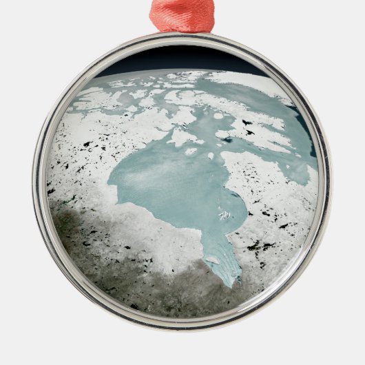 ハドソンベイ海氷2006年4月29日。 メタルオーナメント (正面)