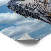 ハドソン川に沿って10x8ペレグリン《鳥》ハヤブサ ポスター (角)