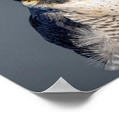 ハドソン川に沿って10x8ペレグリン《鳥》ハヤブサ ポスター (角)