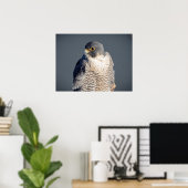 ハドソン川に沿って24x18ペレグリン《鳥》ハヤブサ ポスター (ホームオフィス)