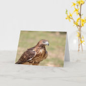 ハドソン渓谷のアカオタカ カード (黄色い花)