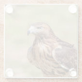 ハドソン渓谷のアカオタカ ガラスコースター (裏面)