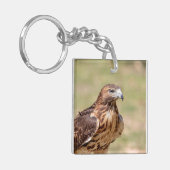 ハドソン渓谷のアカオタカ キーホルダー (正面左)