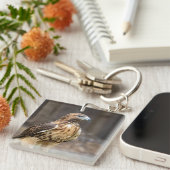 ハドソン渓谷のアカオタカ キーホルダー (正面右)