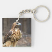 ハドソン渓谷のアカオタカ キーホルダー (裏面)