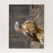 ハドソン渓谷のアカオタカ ジグソーパズル (縦)