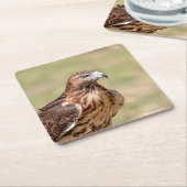 ハドソン渓谷のアカオタカ スクエアペーパーコースター (アングル)