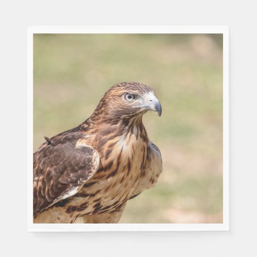 ハドソン渓谷のアカオタカ スタンダードランチョンナプキン (正面)