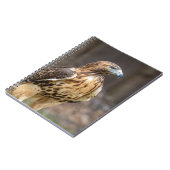 ハドソン渓谷のアカオタカ ノートブック (左側)