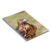 ハドソン渓谷のアカオタカ ノートブック (右側)