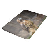 ハドソン渓谷のアカオタカ バスマット (アングル)