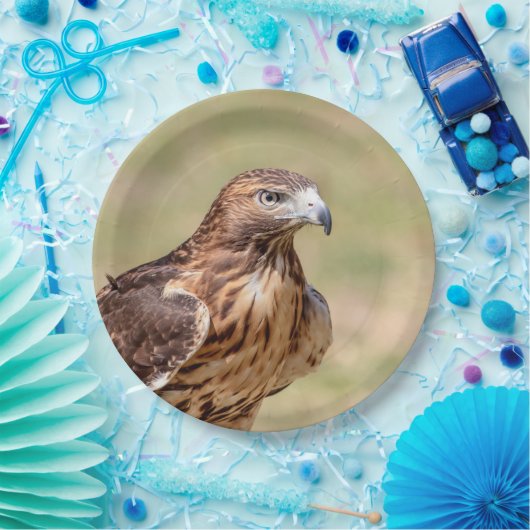 ハドソン渓谷のアカオタカ ペーパープレート (パーティー)