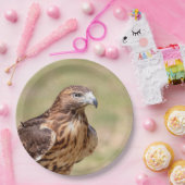 ハドソン渓谷のアカオタカ ペーパープレート (パーティー)