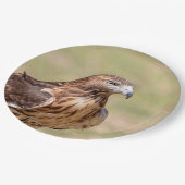 ハドソン渓谷のアカオタカ ペーパープレート (アングル)