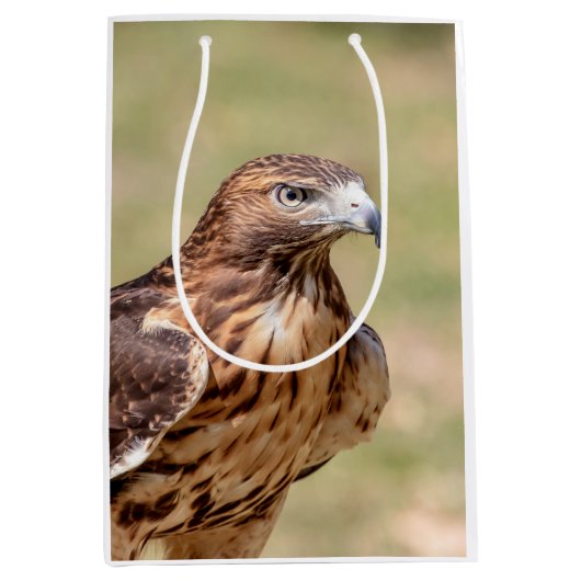 ハドソン渓谷のアカオタカ ミディアムペーパーバッグ (正面)