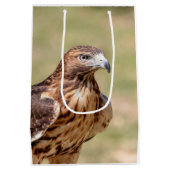 ハドソン渓谷のアカオタカ ミディアムペーパーバッグ (裏面)