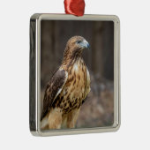 ハドソン渓谷のアカオタカ メタルオーナメント (右)