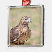 ハドソン渓谷のアカオタカ メタルオーナメント (左)