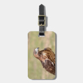 ハドソン渓谷のアカオタカ ラゲッジタグ (正面縦)