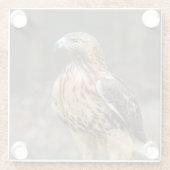 ハドソン渓谷のアカタカ ガラスコースター (裏面)