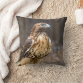 ハドソン渓谷のアカタカ クッション (ブランケット)